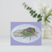 Jährliche Cicada-Koordinationsaufgaben Postkarte (Stehend Vorderseite)