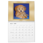 Jährliche Kalender mit Ihren eigenen FOTOS (Mär 2027)