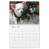 Jährliche Wohltätigkeit des Fotos zur Rettung von  Kalender (Feb 2026)