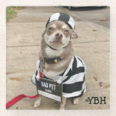 Jail Bird Huey Glasuntersetzer (Vorderseite)