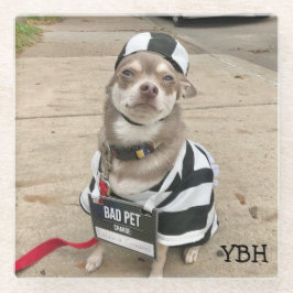 Jail Bird Huey Glasuntersetzer