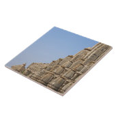 Jain-Tempel in Chittorgarh Fort, Indien Fliese (Seite)