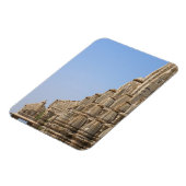 Jain temple in Chittorgarh Fort, India Magnet (Linke Seite)