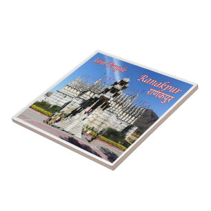 Jain Temple RANAKPUR, Indien, Asien, Fliese