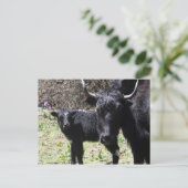Jak und Kalb Postkarte (Stehend Vorderseite)