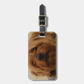 Jake aus der Yorkie Terrier Gepäckanhänger (Vorderseite vertikal)