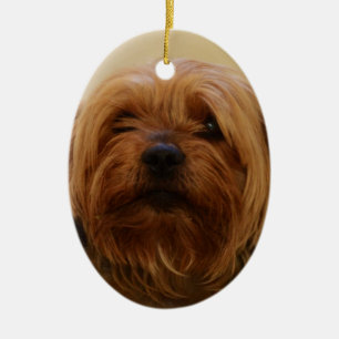 Jake aus der Yorkie Terrier Keramikornament