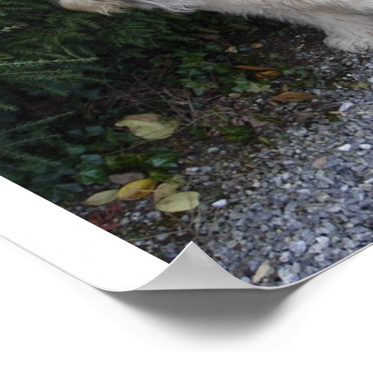 Jake bei Biltmore Poster (Ecke)