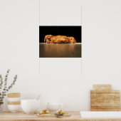 Jake & Dillon Poster (Küche)