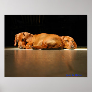 Jake u. Dillon Poster