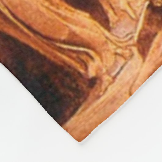 Jakobs Traum durch William Blake Fleecedecke (Ecke)