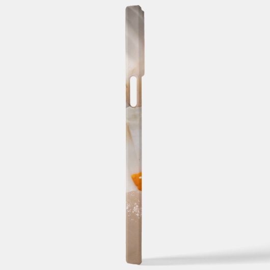 Jakobsmuscheln iPhone Hülle (Rechte Seite)