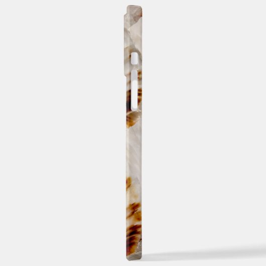 Jakobsmuscheln iPhone Hülle (Linke Seite)