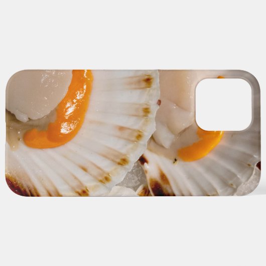 Jakobsmuscheln iPhone Hülle (Hinten horizontal)