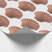 Jakobsmuschelschalen Geschenkpapier (Ecke)