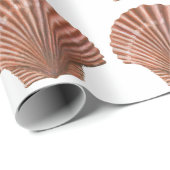 Jakobsmuschelschalen Geschenkpapier (Rolleneckpunkt)