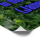 Jakobus 2:5 WEBU Poster (Ecke)