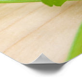 Jalapenos, Kirschtomaten und Cilantro, frisch Poster (Ecke)