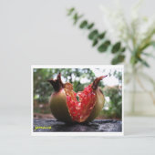Jamaica Pomegranate Postkarte (Stehend Vorderseite)