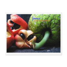 Jamaican Ackee Frucht und Breadfruit