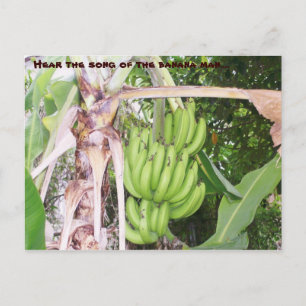 Jamaican Banana Man Postcard Postkarte