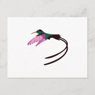 Jamaican Bird Postkarte