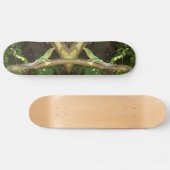 Jamaican Green Lizard Skateboard (Horizontal)