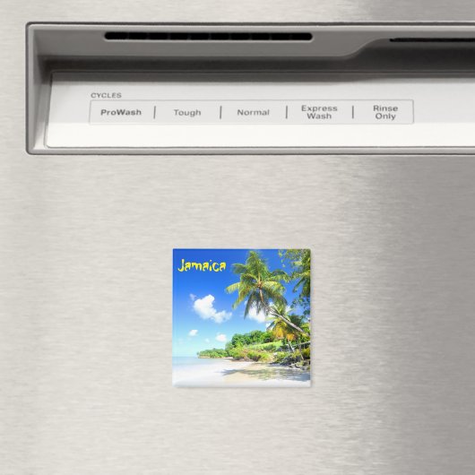 Jamaika Magnet (In Situ (Geschirrspüler))