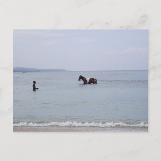 Jamaika-Postkarte Postkarte (Vorderseite)