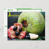 Jamaikanische Breadfruit und Ackee Fruit 2k17 Postkarte (Vorne/Hinten)