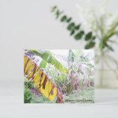 Jamaikanischer Garten Postkarte (Stehend Vorderseite)