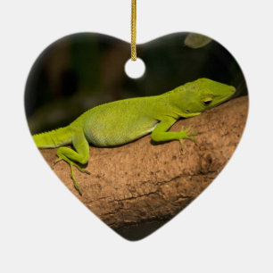 Jamaikanischer Riesenanol Keramikornament