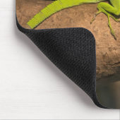 Jamaikanischer Riesenanol Mousepad (Ecke)