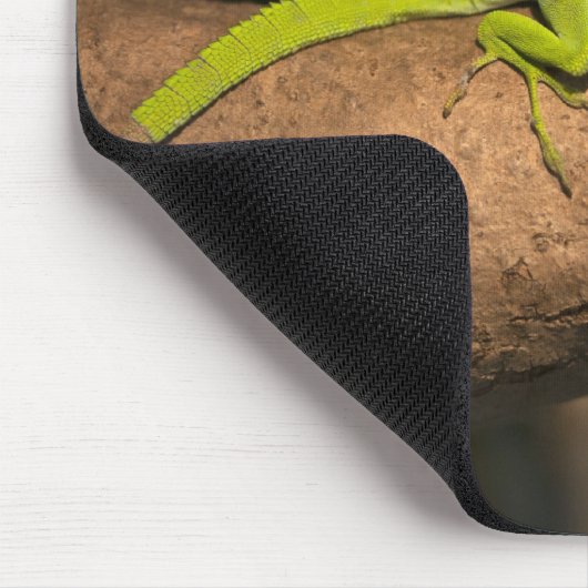 Jamaikanischer Riesenanol Mousepad (Ecke)