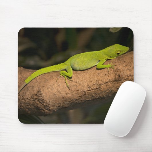 Jamaikanischer Riesenanol Mousepad (Mit Mouse)