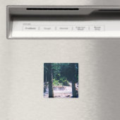 Jamaikanischer Wasserfall Magnet (In Situ (Geschirrspüler))