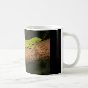 Jamaikanisches riesiges anole kaffeetasse