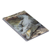 Jamaikanisches Salz-Wasser-Krokodil Notizblock (Rechte Seite)