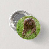 Jambo Der einzigartige haarlose Chimp Button (Vorne & Hinten)