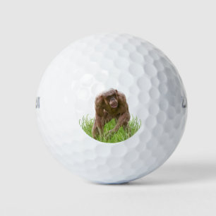 Jambo Der einzigartige haarlose Chimp Golfball