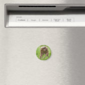 Jambo Der einzigartige haarlose Chimp Magnet (In Situ (Geschirrspüler))