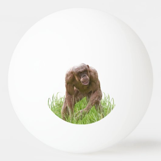 Jambo Der einzigartige haarlose Chimp Tischtennisball (Vorderseite)
