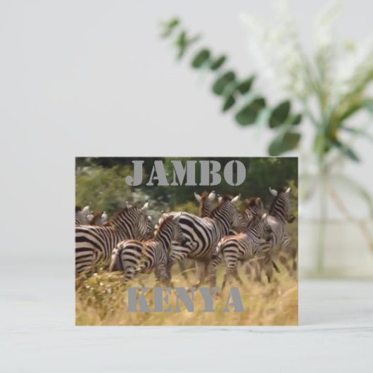 Jambo Kenya Zebra Migration Safari Postkarten (Stehend Vorderseite)