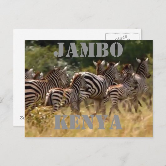 Jambo Kenya Zebra Migration Safari Postkarten (Vorne/Hinten)