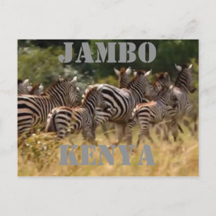 Jambo Kenya Zebra Migration Safari Postkarten