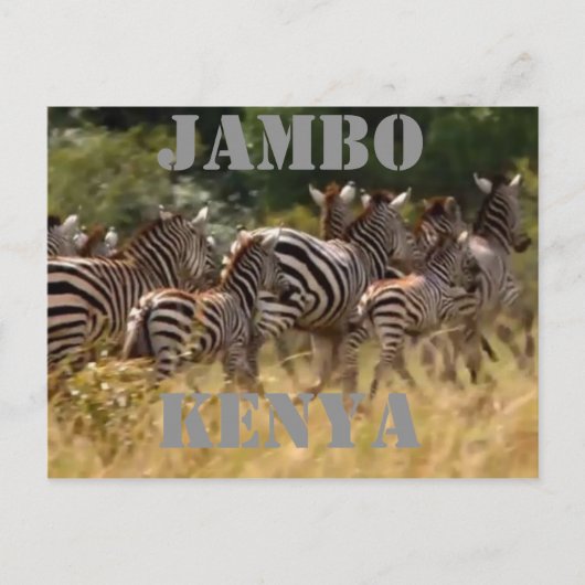 Jambo Kenya Zebra Migration Safari Postkarten (Vorderseite)
