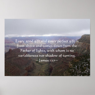 James 1:17 Poster