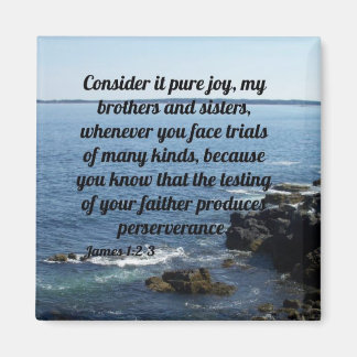 James 1:2-3 magnet