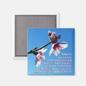 James 3v17 - Weisheit von oben Magnet (Vorderseite/Rückseite)