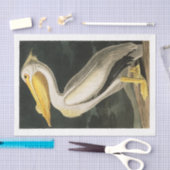James Audubon Pelican Decoupage Tissue Nautical Seidenpapier (Handwerk)